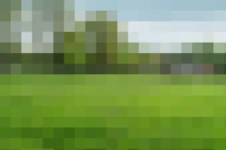 Kemperbergerweg 195 Arnhem thumbnail 47