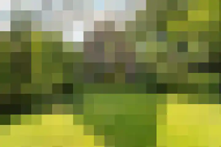 Kemperbergerweg 195 Arnhem thumbnail 50