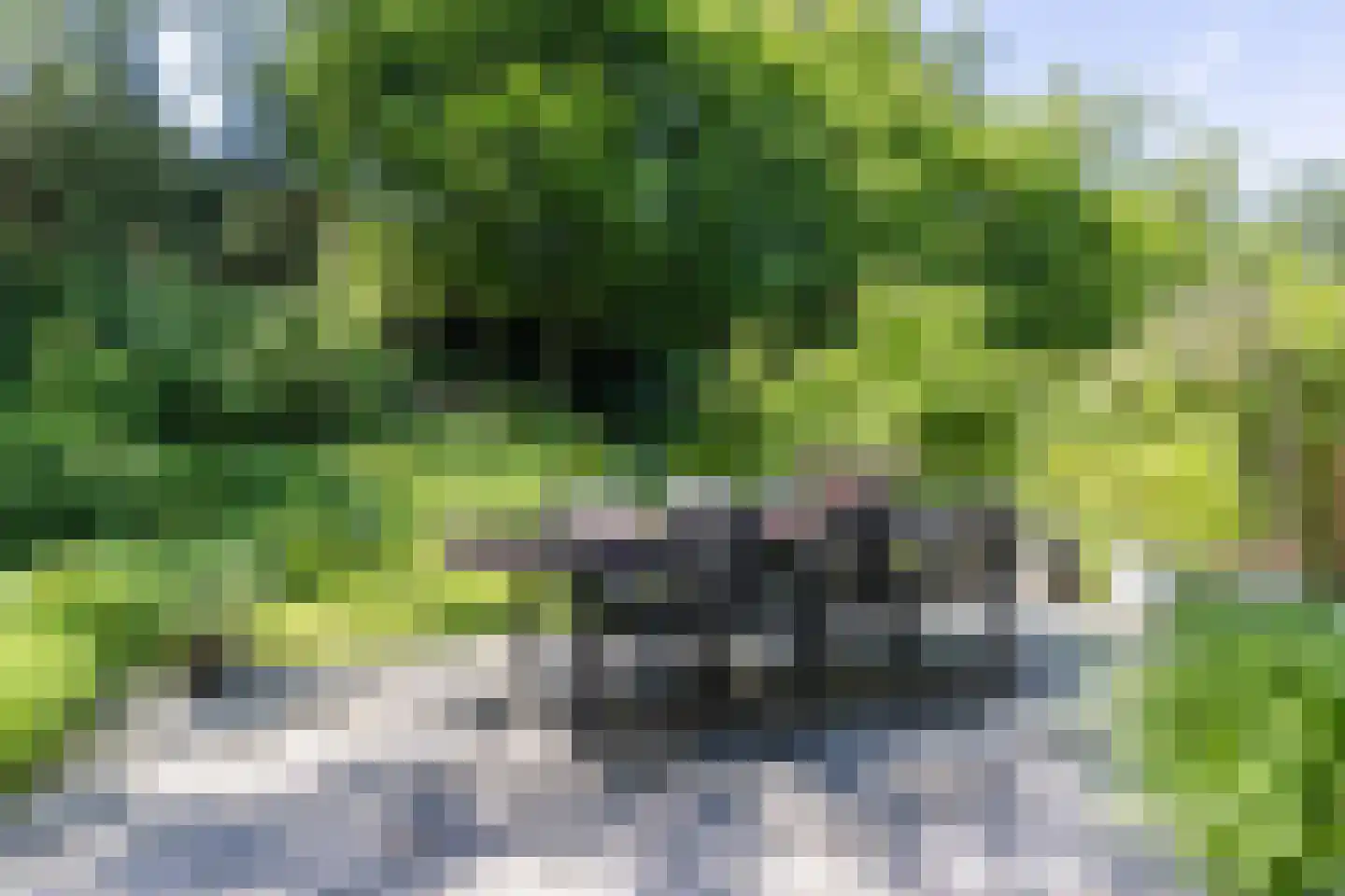 Kemperbergerweg 47 Arnhem thumbnail 4