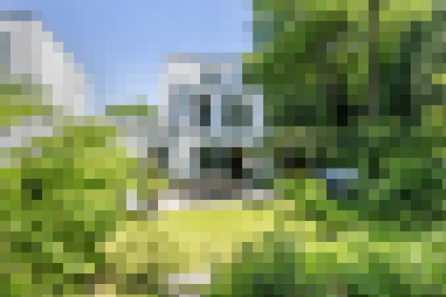 Kemperbergerweg 47 Arnhem thumbnail 40
