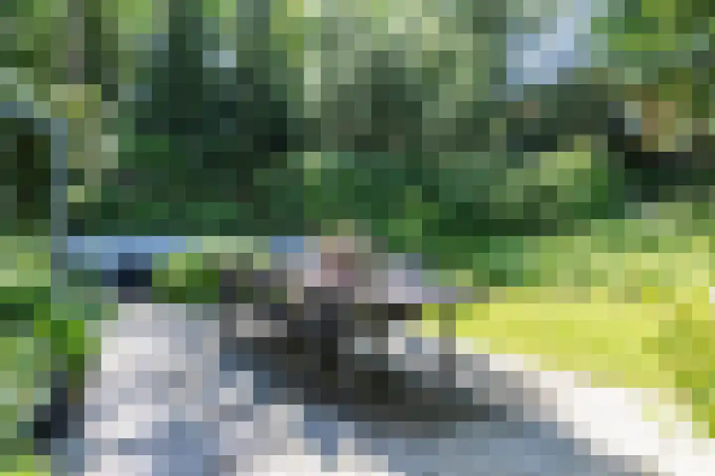 Kemperbergerweg 47 Arnhem thumbnail 41