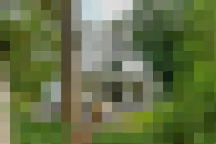 Kemperbergerweg 65 Arnhem thumbnail 31
