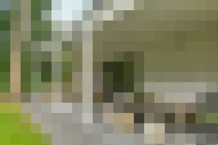 Kemperbergerweg 65 Arnhem thumbnail 33