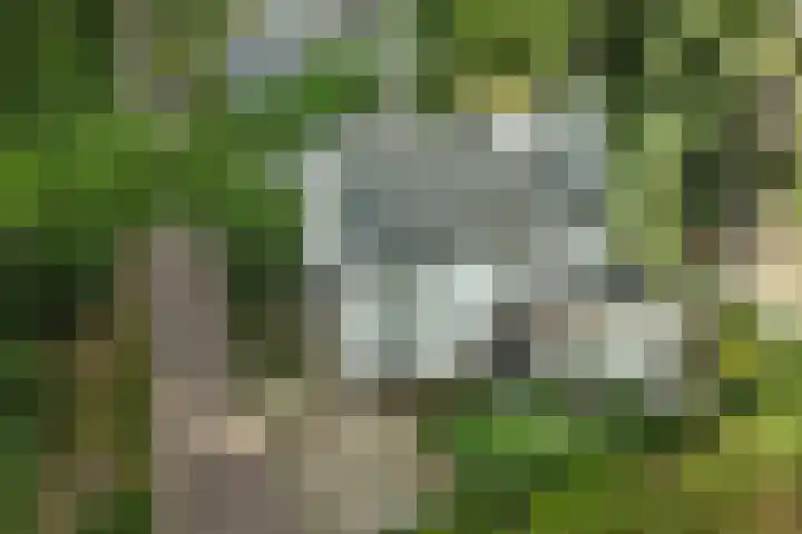 Kemperbergerweg 65 Arnhem thumbnail 35