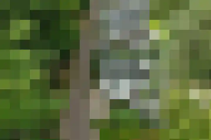 Kemperbergerweg 65 Arnhem thumbnail 36