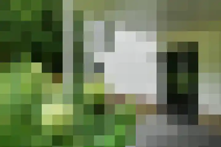 Kemperbergerweg 65 Arnhem thumbnail 6