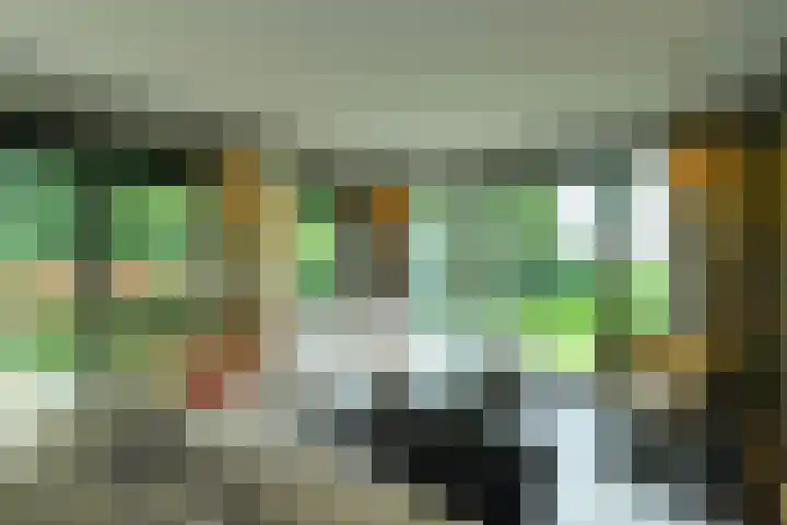 Kemperbergerweg 65 Arnhem thumbnail 9