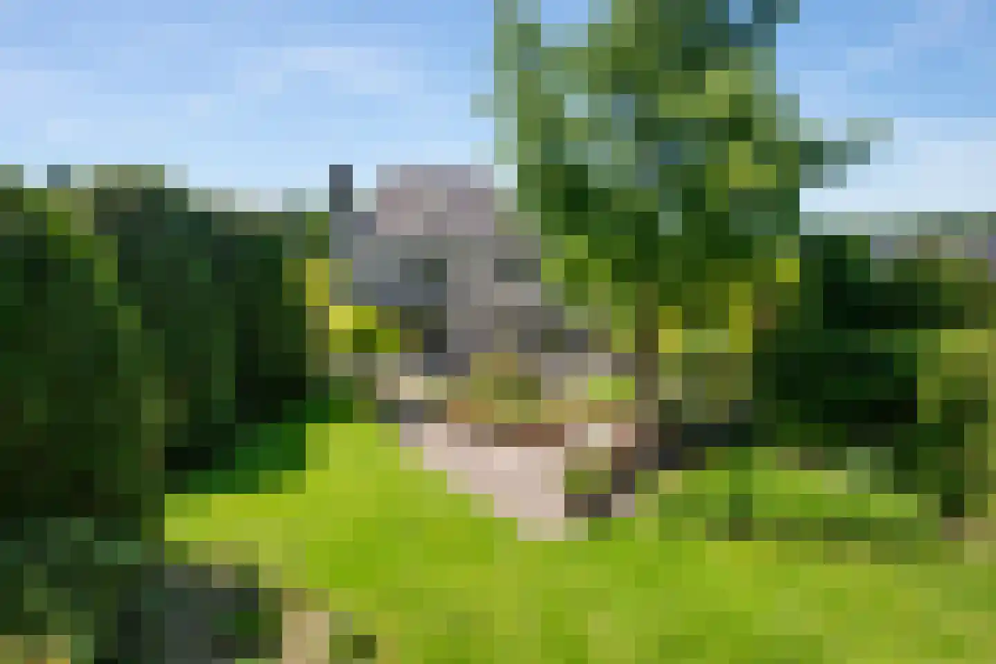 Kemperbergerweg 707 Arnhem thumbnail 38