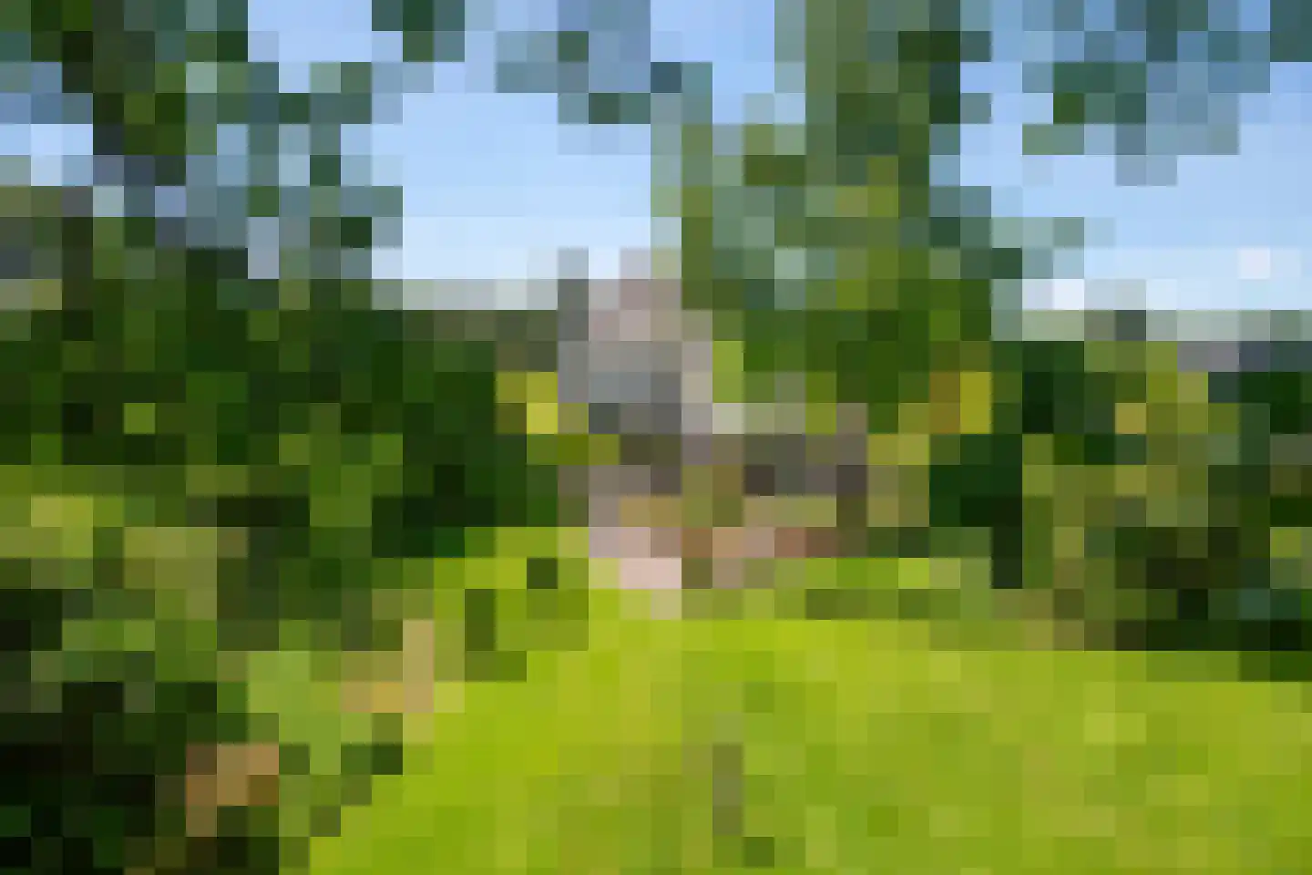 Kemperbergerweg 707 Arnhem thumbnail 40