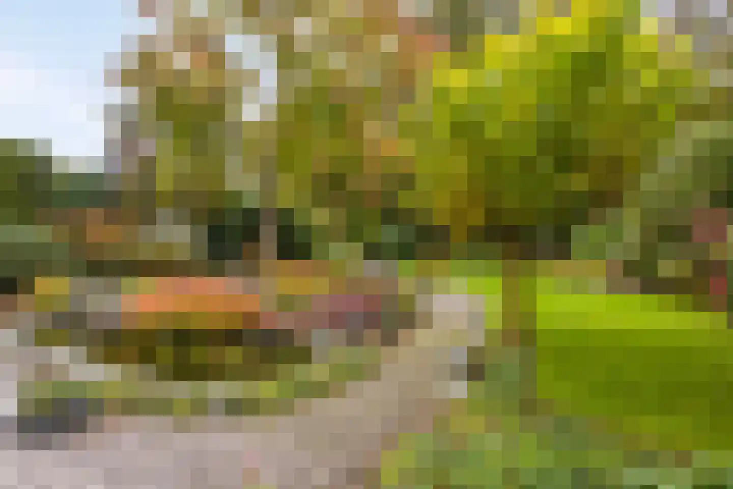 Kemperbergerweg 707 Arnhem thumbnail 47