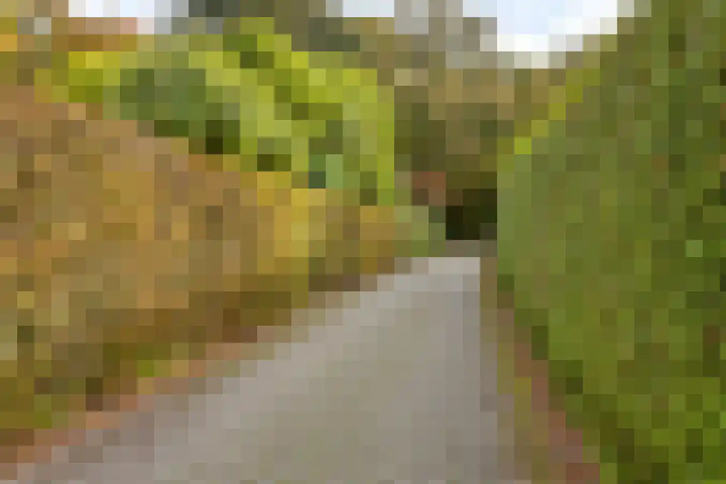 Kemperbergerweg 707 Arnhem thumbnail 52
