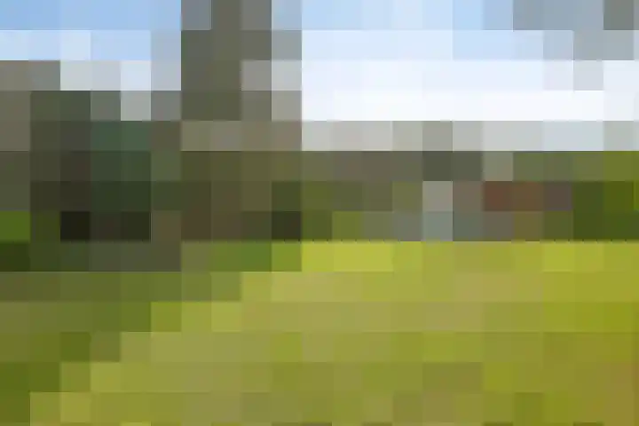 Kemperbergerweg 711 Arnhem thumbnail 35