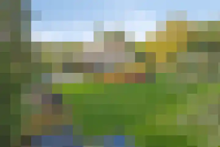 Kemperbergerweg 711 Arnhem thumbnail 38