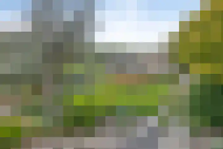 Kemperbergerweg 711 Arnhem thumbnail 39