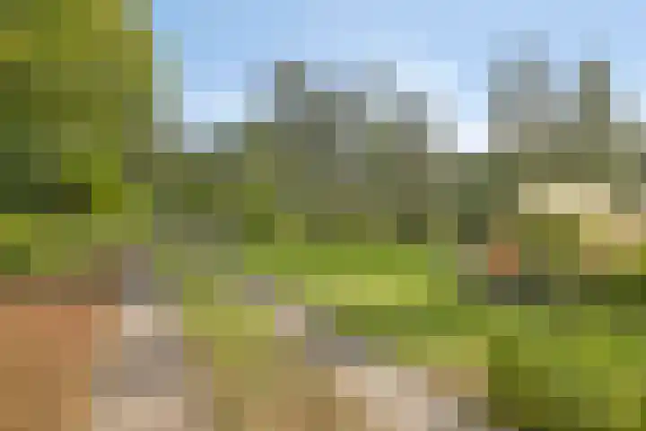 Kemperbergerweg 711 Arnhem thumbnail 40