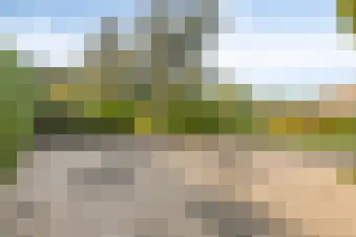 Kemperbergerweg 711 Arnhem thumbnail 41
