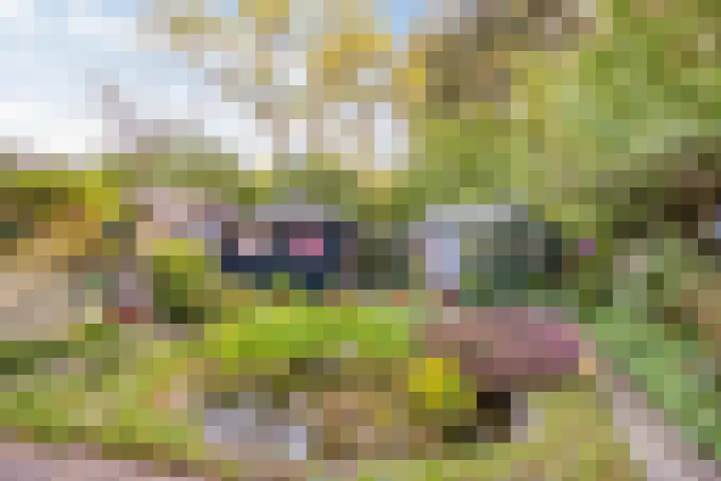 Kemperbergerweg 797 Arnhem thumbnail 36