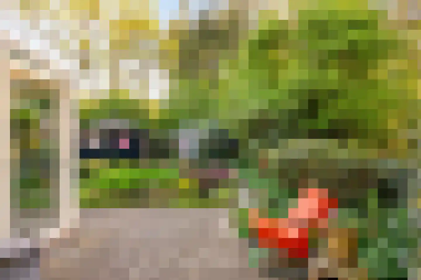 Kemperbergerweg 797 Arnhem thumbnail 41