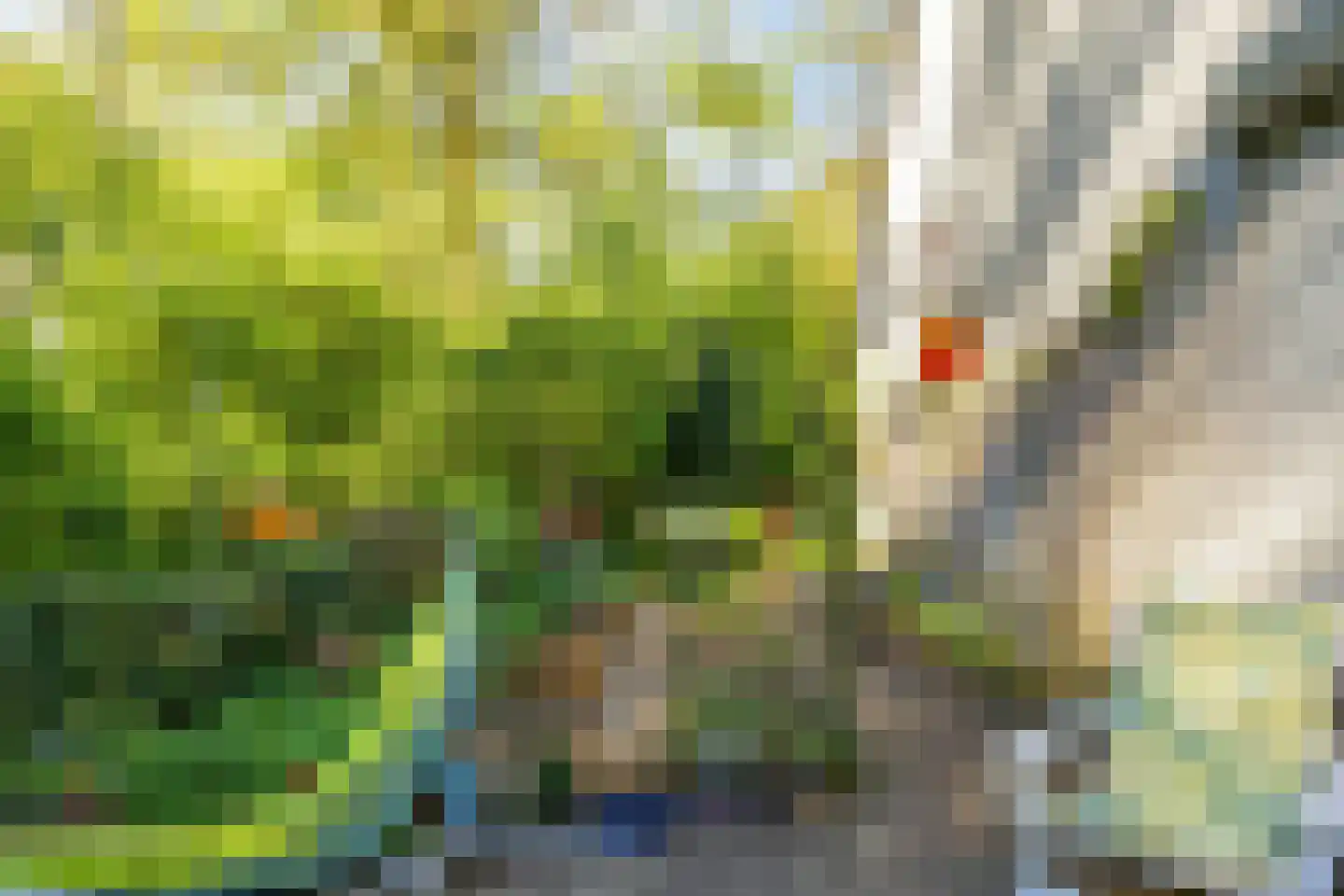 Kemperbergerweg 797 Arnhem thumbnail 42