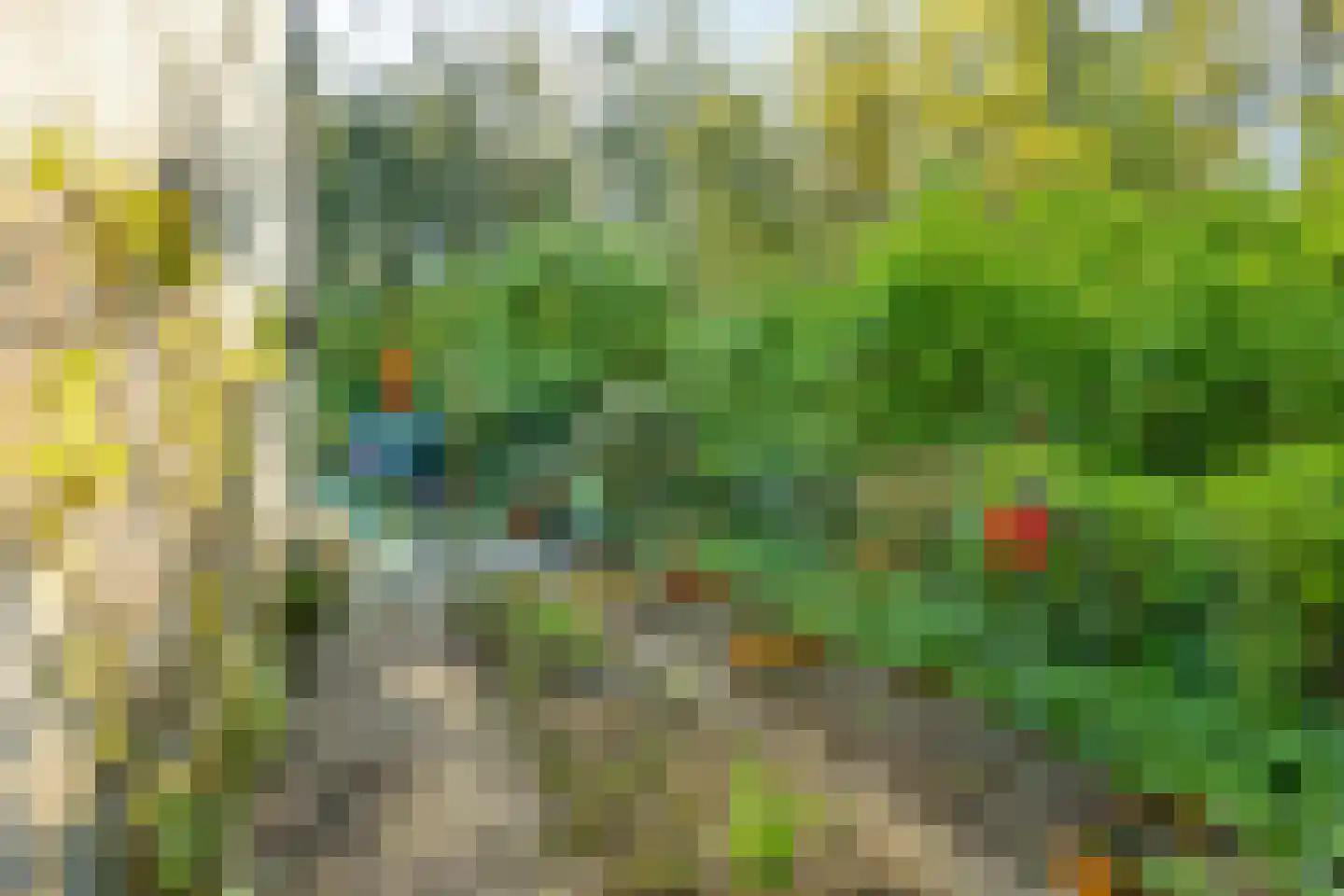 Kemperbergerweg 797 Arnhem thumbnail 43