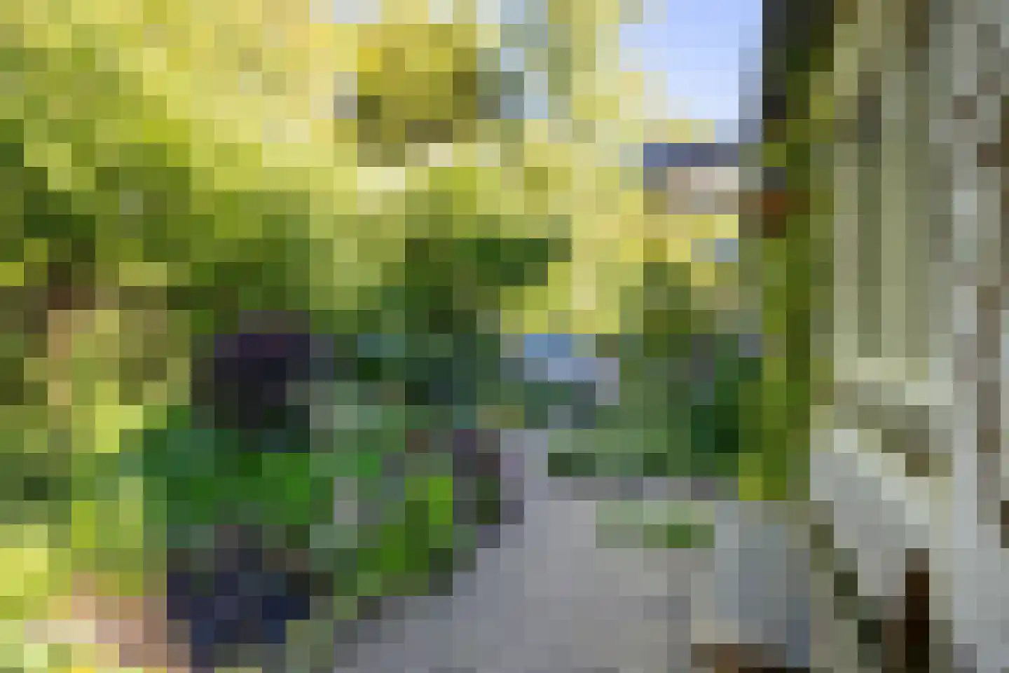 Kemperbergerweg 797 Arnhem thumbnail 45