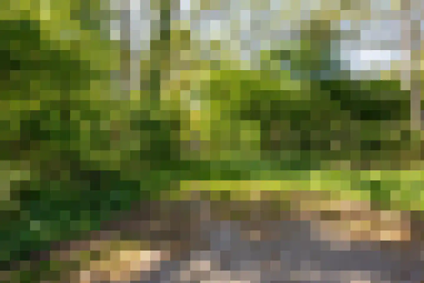 Kemperbergerweg 797 Arnhem thumbnail 49
