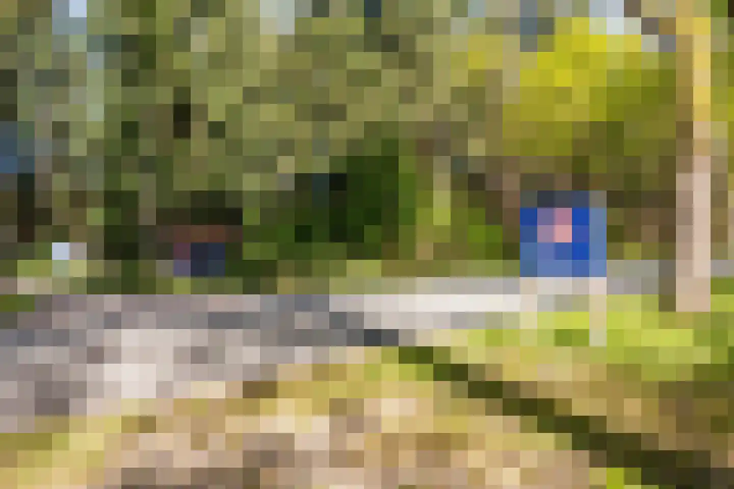 Kemperbergerweg 797 Arnhem thumbnail 52