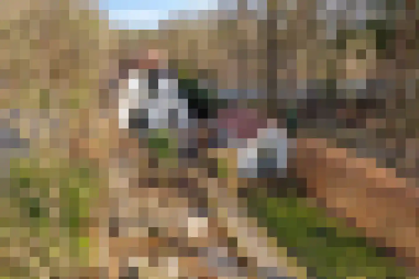Kemperbergerweg 811 Arnhem thumbnail 56