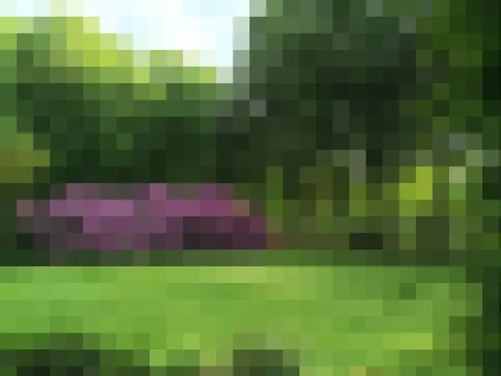 Kemperbergerweg 862 Arnhem thumbnail 6
