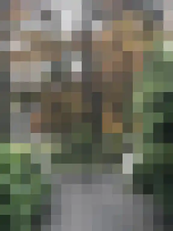 Kemperbergerweg 862 Arnhem thumbnail 8