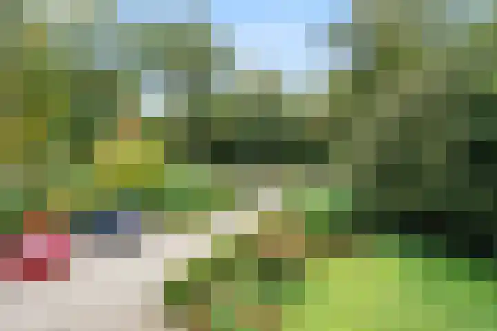 Kemperbergerweg 89 Arnhem thumbnail 24