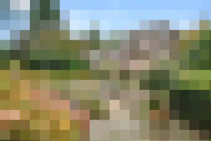 Kemperbergerweg 89 Arnhem thumbnail 39