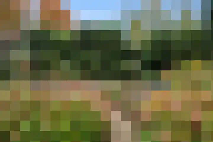 Kemperbergerweg 89 Arnhem thumbnail 40