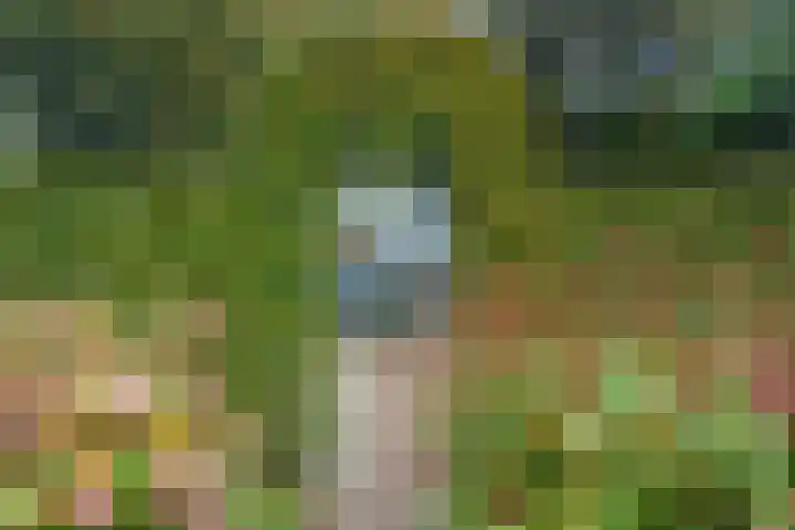 Kemperbergerweg 89 Arnhem thumbnail 41