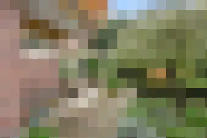Kemperbergerweg 89 Arnhem thumbnail 42