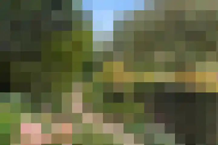 Kemperbergerweg 89 Arnhem thumbnail 45