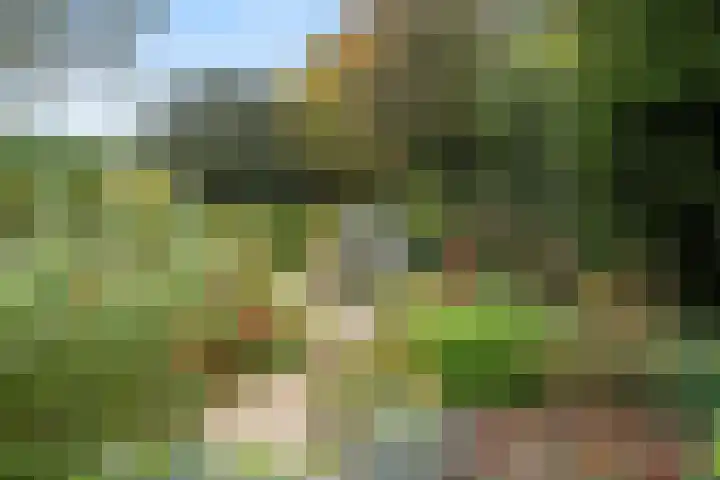 Kemperbergerweg 89 Arnhem thumbnail 46