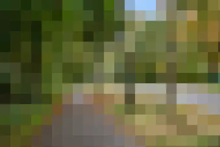 Kemperbergerweg 89 Arnhem thumbnail 48