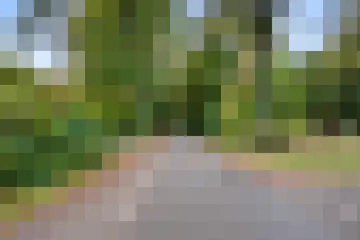 Kemperbergerweg 89 Arnhem thumbnail 49