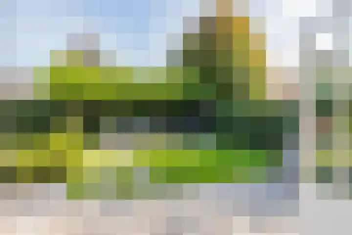 Kemperhof 1 Hoofddorp thumbnail 20