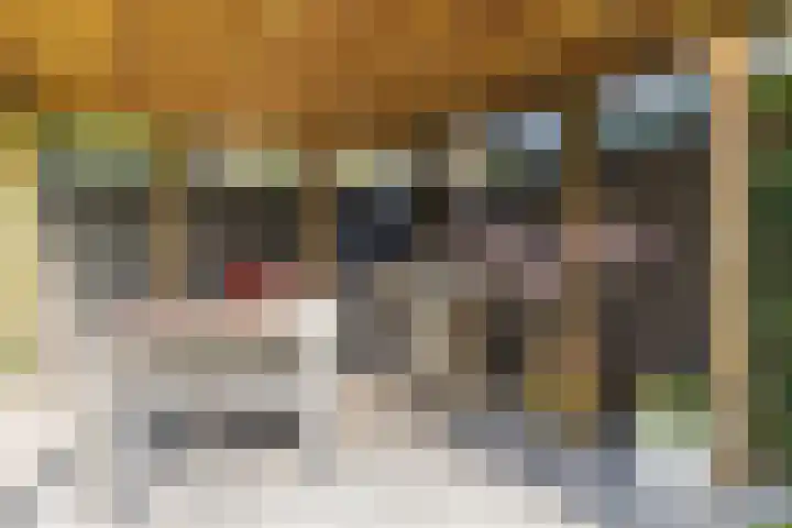 Kemperhof 1 Hoofddorp thumbnail 53