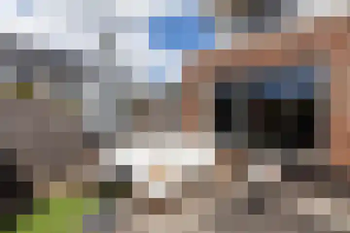 Kemperhof 16 Vlaardingen thumbnail 22