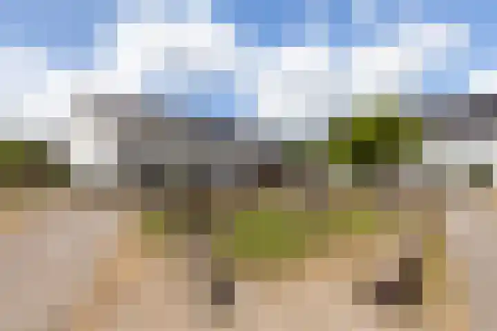 Kemperhof 16 Vlaardingen thumbnail 39