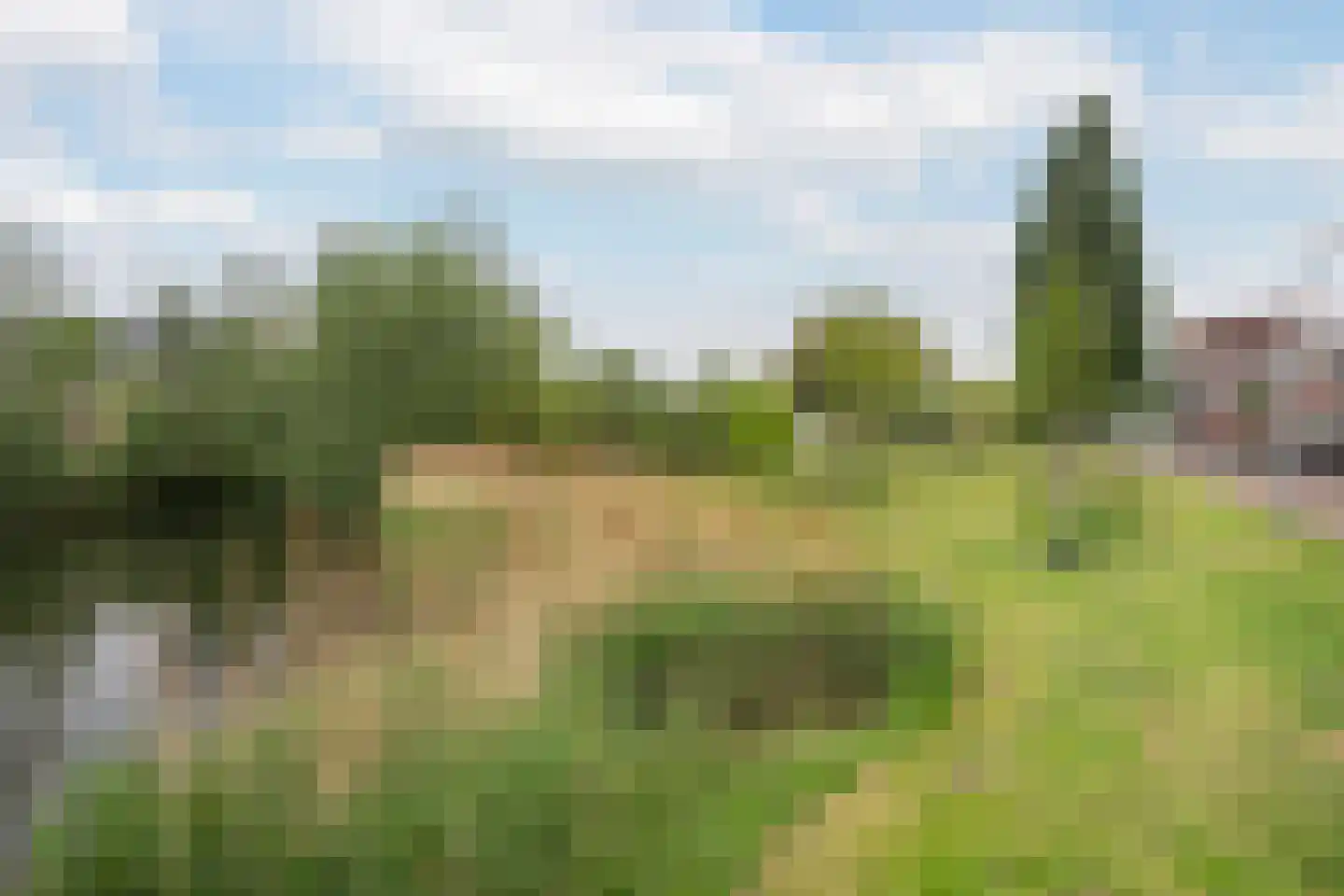 Kemperhof 59 Vlaardingen thumbnail 42