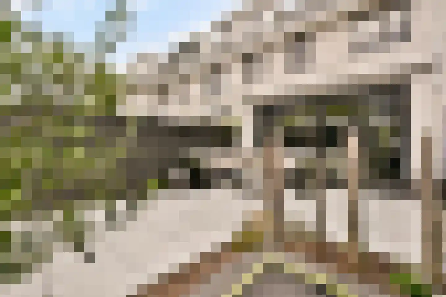 Kemperhof 66 Vlaardingen thumbnail 21