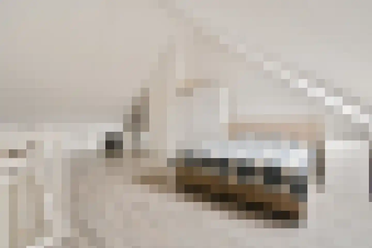 Kemperhof 66 Vlaardingen thumbnail 33