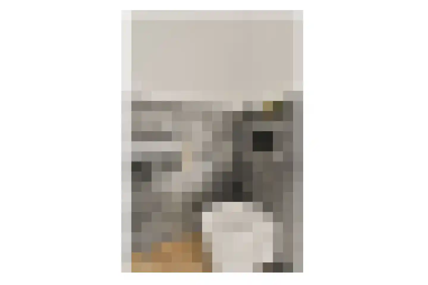 Kemperhof 66 Vlaardingen thumbnail 7