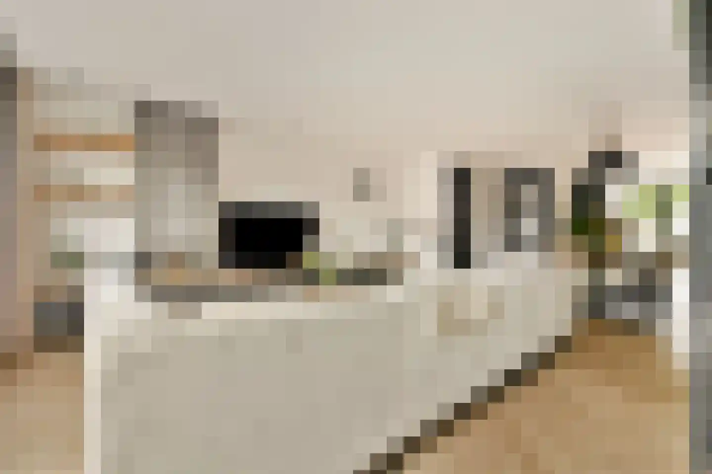 Kemperhof 66 Vlaardingen thumbnail 9