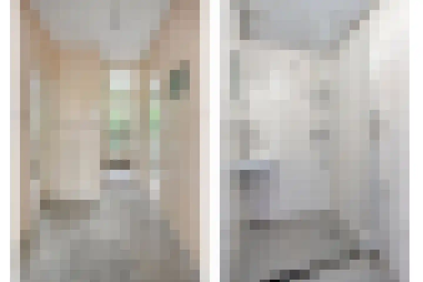 Kemperpad 53 Rotterdam thumbnail 16