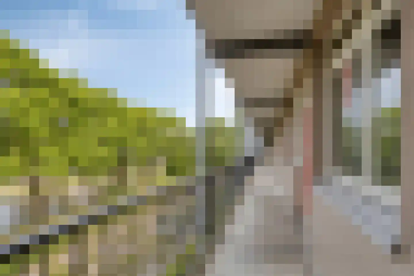Kemperpad 53 Rotterdam thumbnail 8